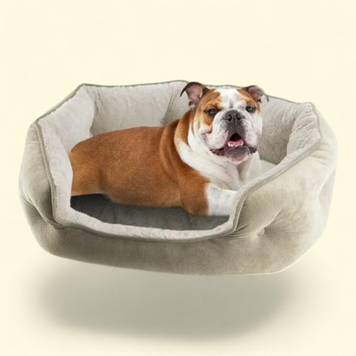 Arlee Cozy Oval Round Cuddler Pet Dog Bed, Medium/Large